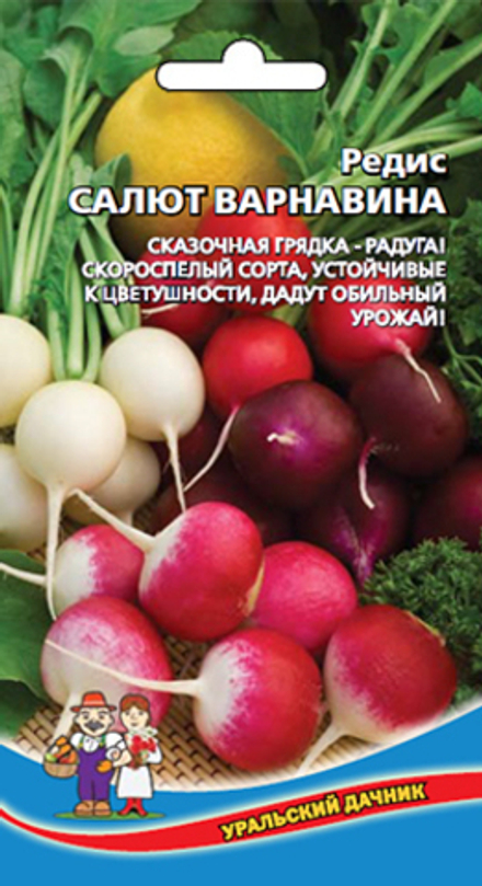 Редис Салют Варнавина 2г Уральский Дачник