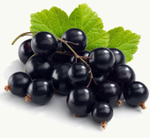 Пюре фруктовое Proff Puree в саше ЧЕРНАЯ СМОРОДИНА 250 гр. замороженное