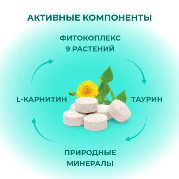 Противоаллергический комплекс Фитомины Форте кошкам и собакам, на основе растительных, минеральных и биоактивных веществ