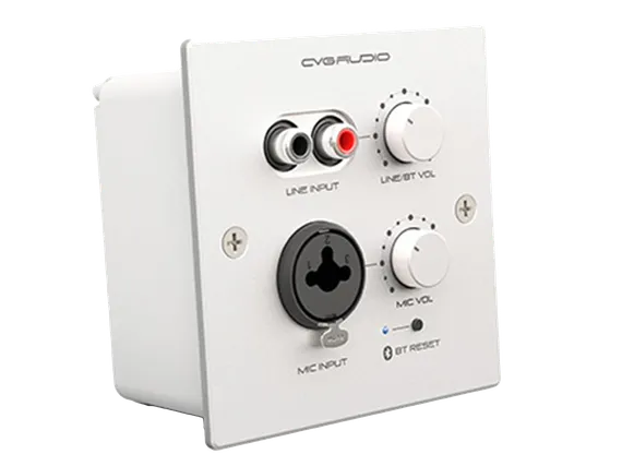 CVGAUDIO PW-IN/W настенная панель удаленного зонального подключения