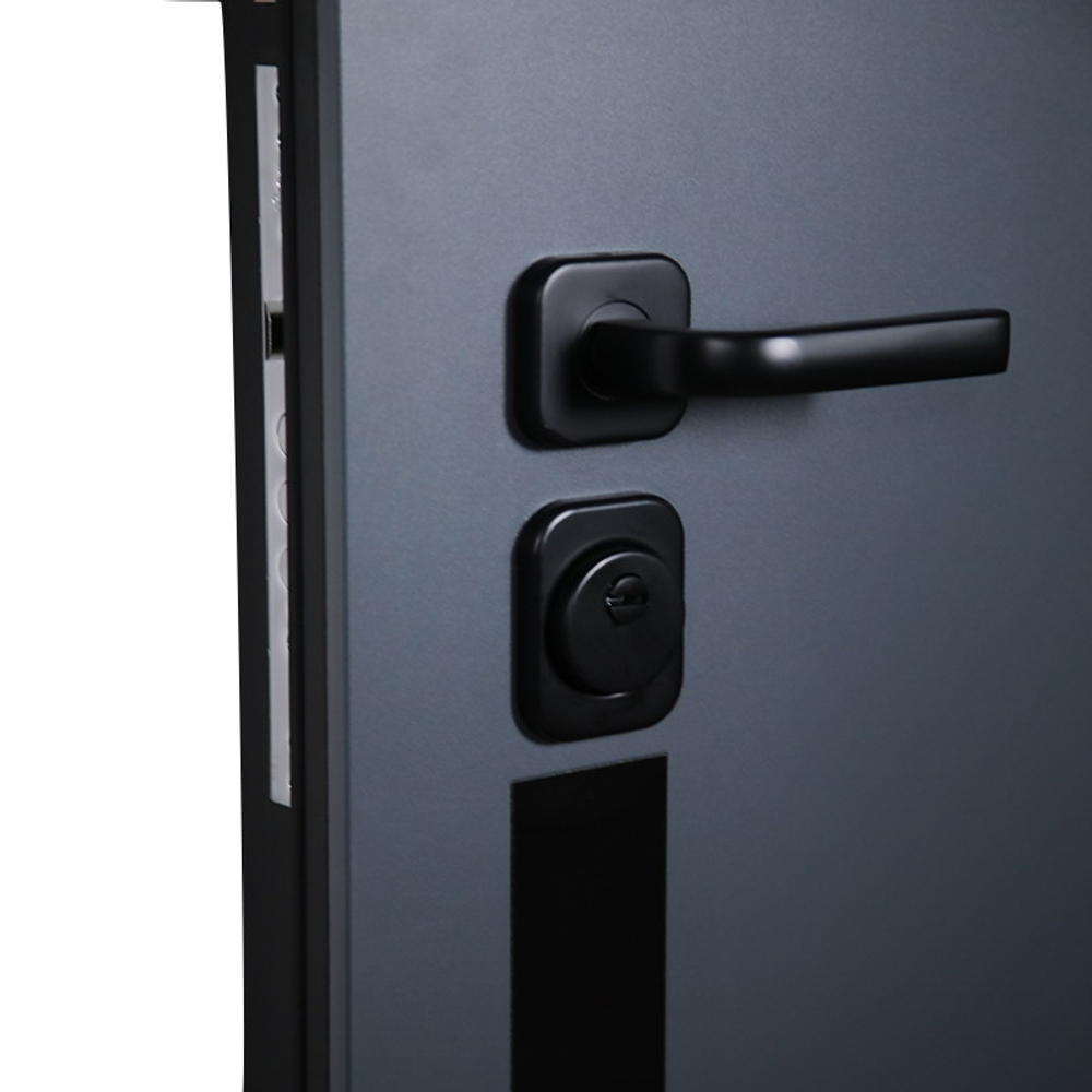 Стальная дверь "Токио". Заказная модель.