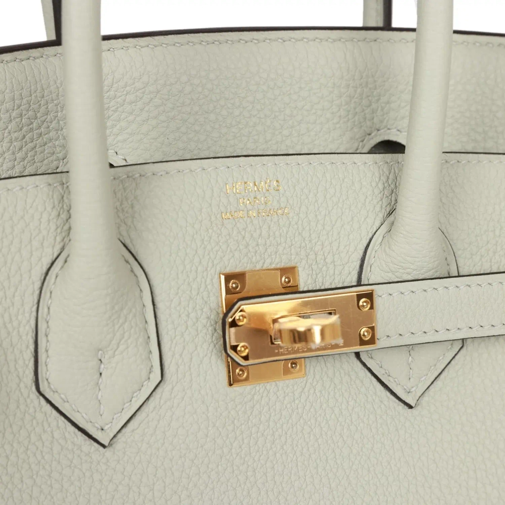 Женская сумка из коллекции B с золотой фурнитурой Hermès Birkin