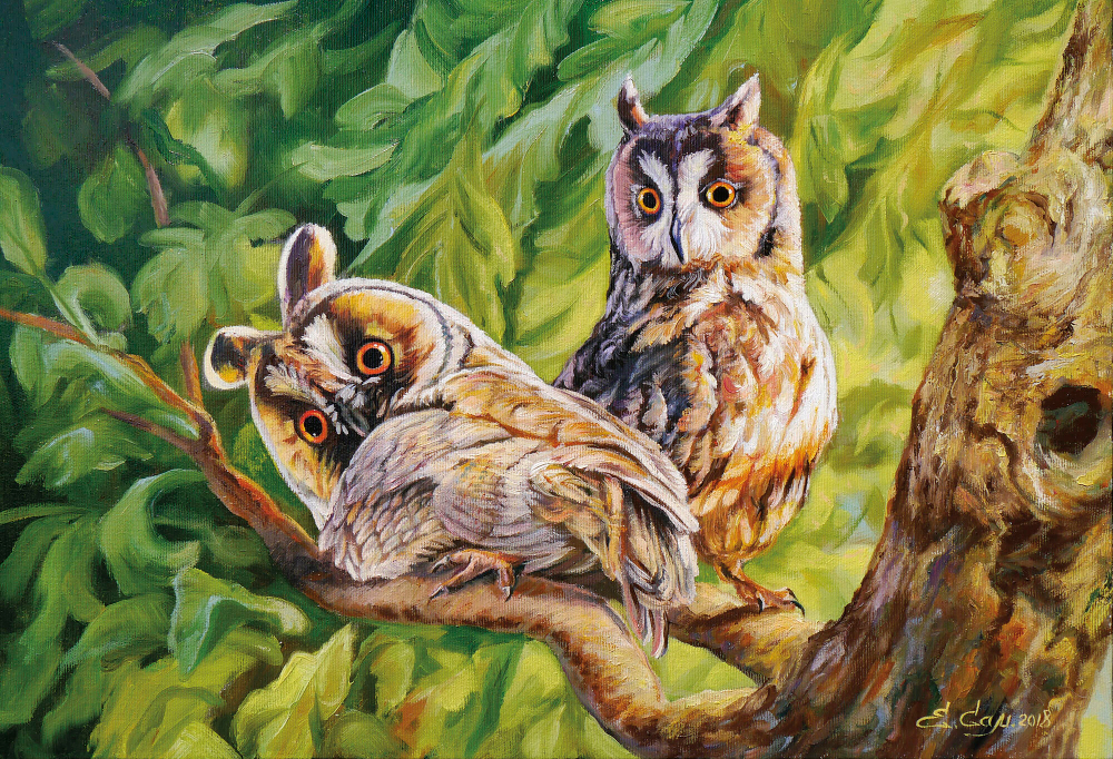 Коллекция Птицы