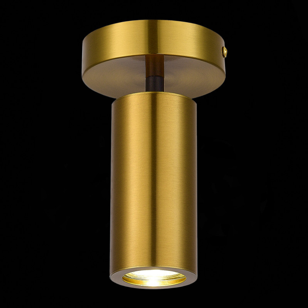 Светильник на штанге ST-Luce Talia SL1215.402.01