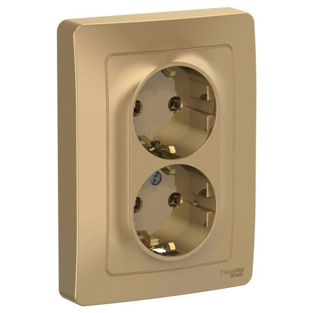 Розетка 2-м СП Blanca 16А IP20 250В с заземл. без защ. шторок титан SE BLNRS001024 Розетка 2-м СП Blanca 16А IP20 250В с заземл. без защ. шторок титан SE BLNRS001024