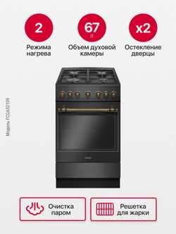 Газовая плита Hansa FCGA52109