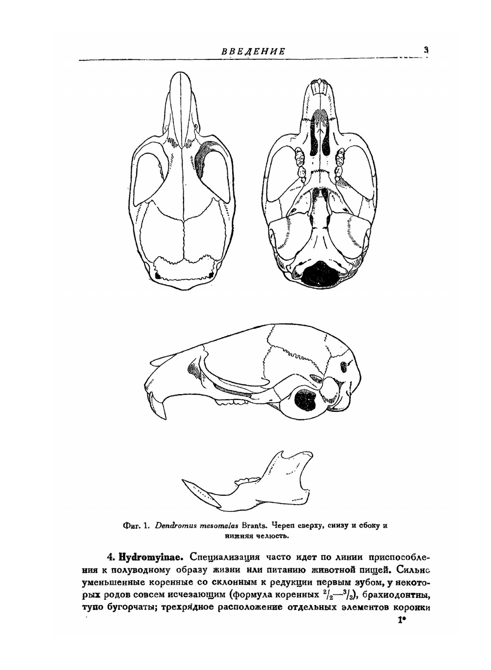 Фауна СССР. Млекопитающие. Том III. Выпуск 5. Сем. Muridae - Мыши. | Аргиропуло А.И.