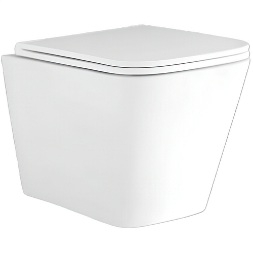 Унитаз Aquatek Дельта AQ1911-00 подвесной с сиденьем Микролифт