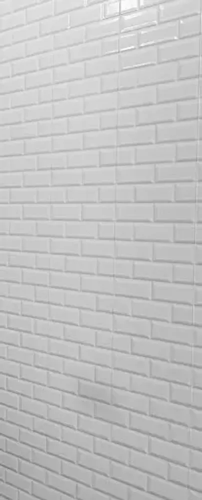 Панель ПВХ 3D Бланш фон 2700х250 мм