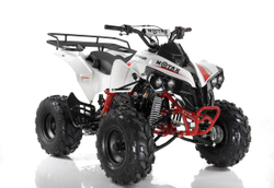 MOTAX ATV Raptor LUX 125 сс 4T Белый/красный