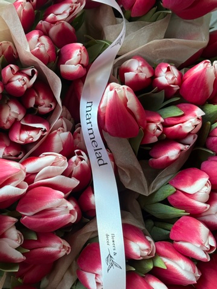 Тюльпаны классика - красно-белый цвет