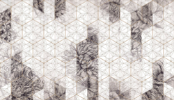 Коллекция Grafika Natura