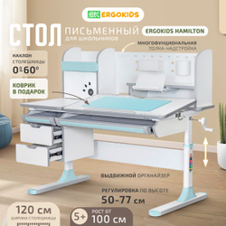 Письменный стол для школьников Ergokids Hamilton Multi BD-680