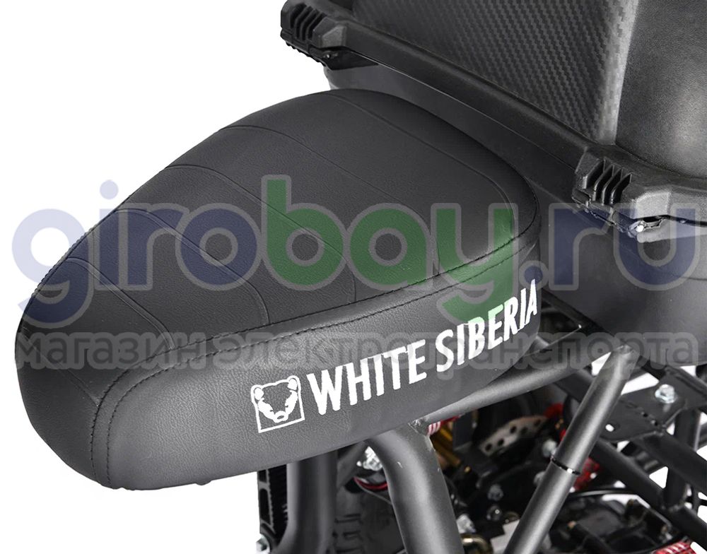 Электроскутер WHITE SIBERIA TRIKE MINI 1500W - Красный фото №14
