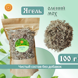 Ягель мох. Кладония.