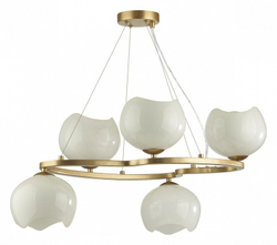 Подвесная люстра Odeon Light 4873/5