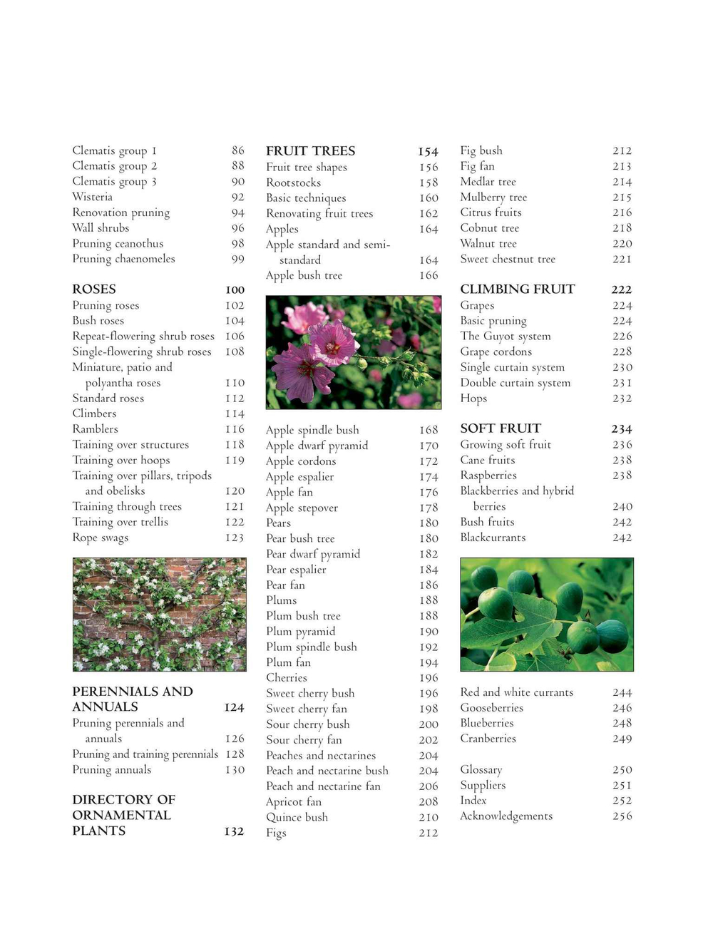 Practical Guide to Pruning, Training and Topiary