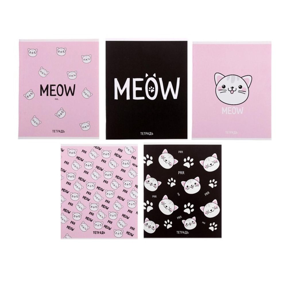 Тетрадь в клетку «Meow» 48 л.