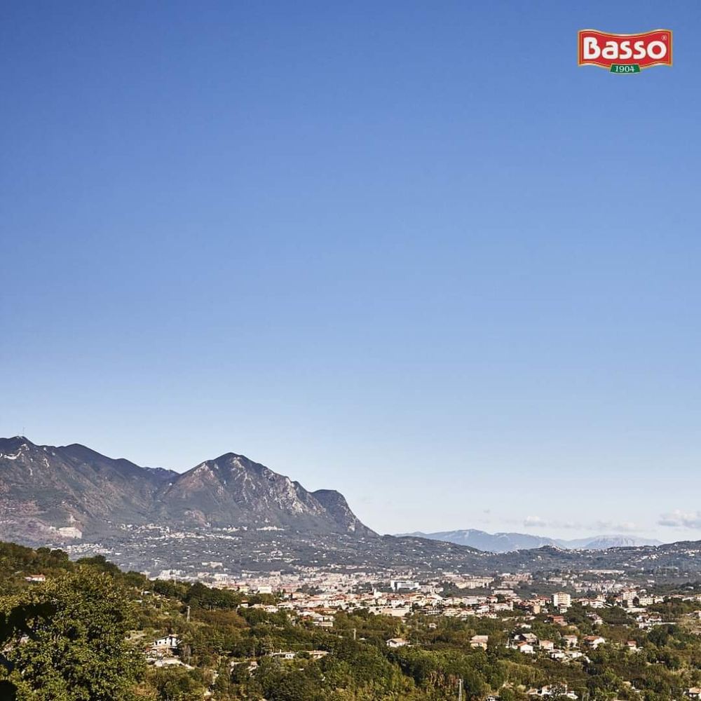 Оливковое масло BASSO Extra Virgin non filtrato, 1л, Италия