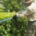 Ножницы-кусторез аккумуляторные MAKITA DUH 502 Z с бесщеточным двигателем без АКб и ЗУ DUH502Z