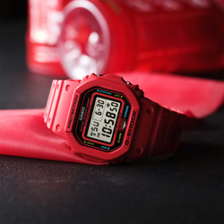 Часы Casio DW-5600EP-4