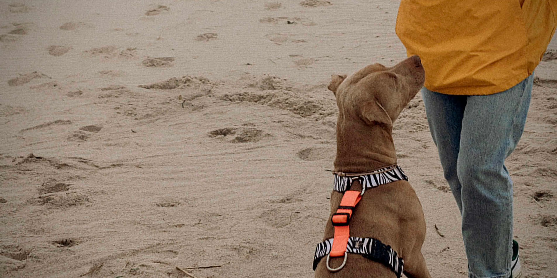 Кастом амуниции