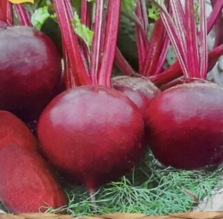 Свекла столовая Капитан (аэ)