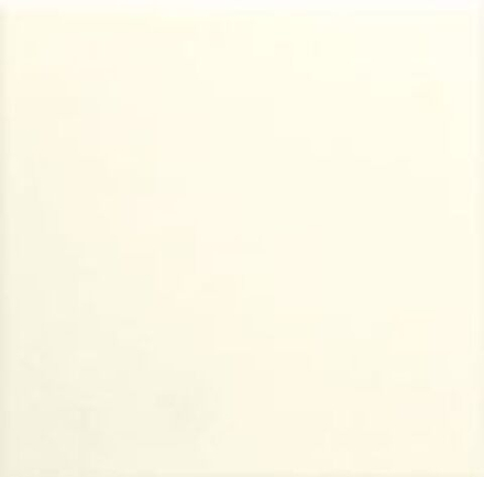 Adex Neri Liso PB Biscuit 10x10