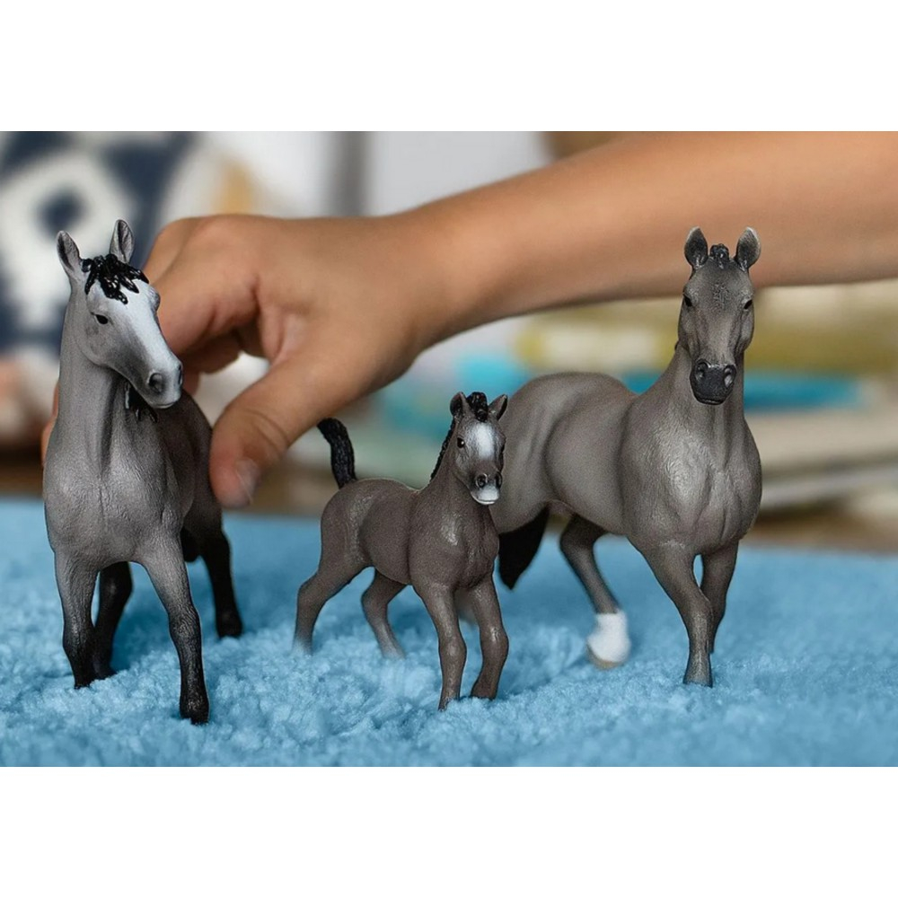 Schleich Horse Club - Порода французский седловой конь Ogier 13956
