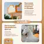 Электрическая свадебная карусель «Белая сказка» с LED-подсветкой, 6 мест