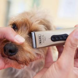 Триммер для стрижки животных Wahl Super Trim (1592-0475)