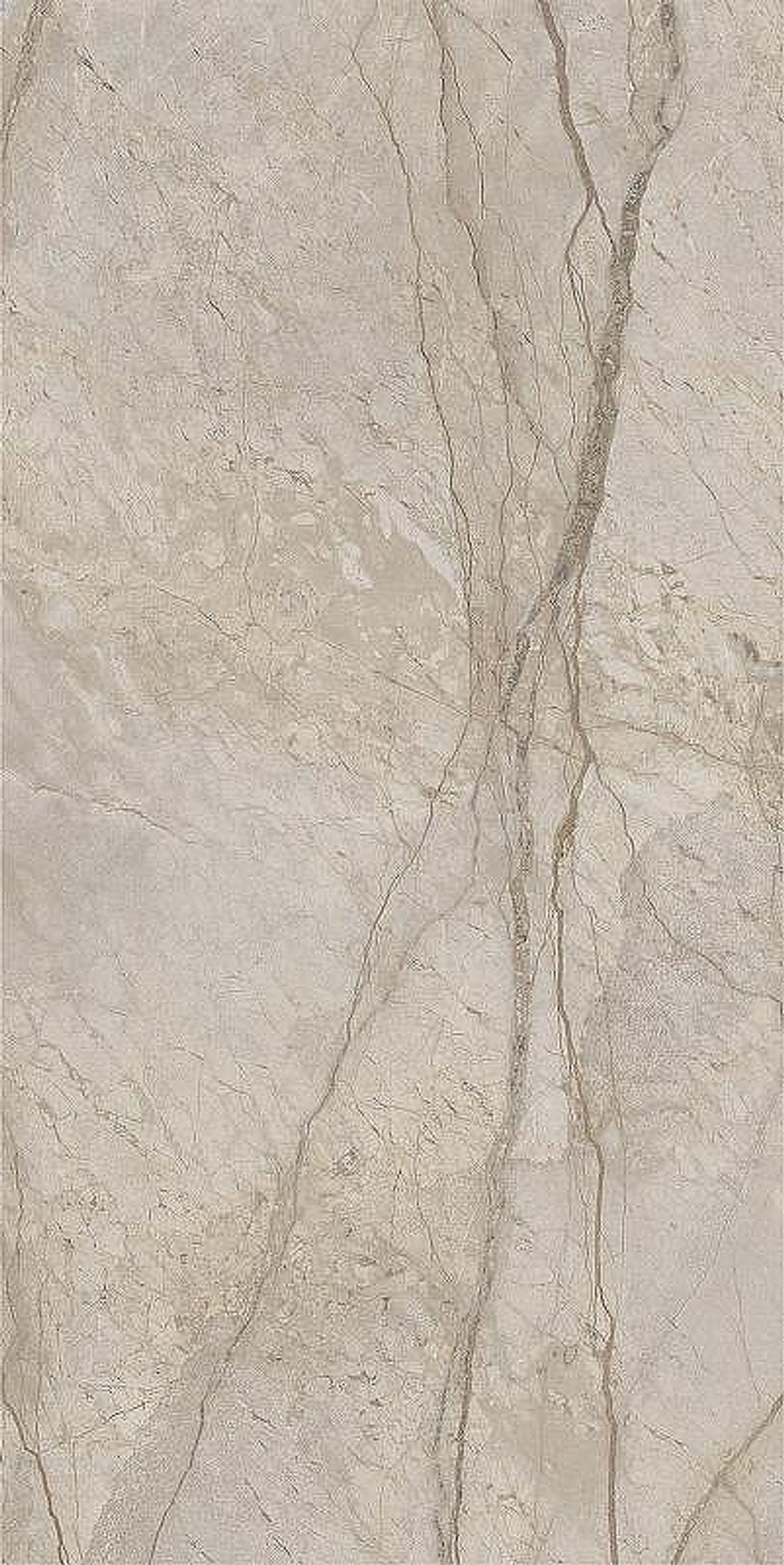 Керамогранит Italon Stellaris Elegant Silver люкс 610015000687 80х160 см