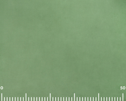 Велюр Fiore celadon (Фиоре селадон)