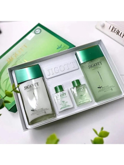 Jigott Well-Being Green Tea Homme Skin Care 2 Set набор для ухода за мужской кожей с экстрактом зеленого чая