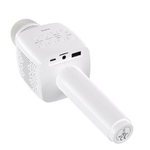 BK5 Cantando karaoke microphone