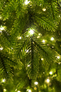 Ель искусственная с лампочками Воронцовская ELITE (лампочки - капля росы)