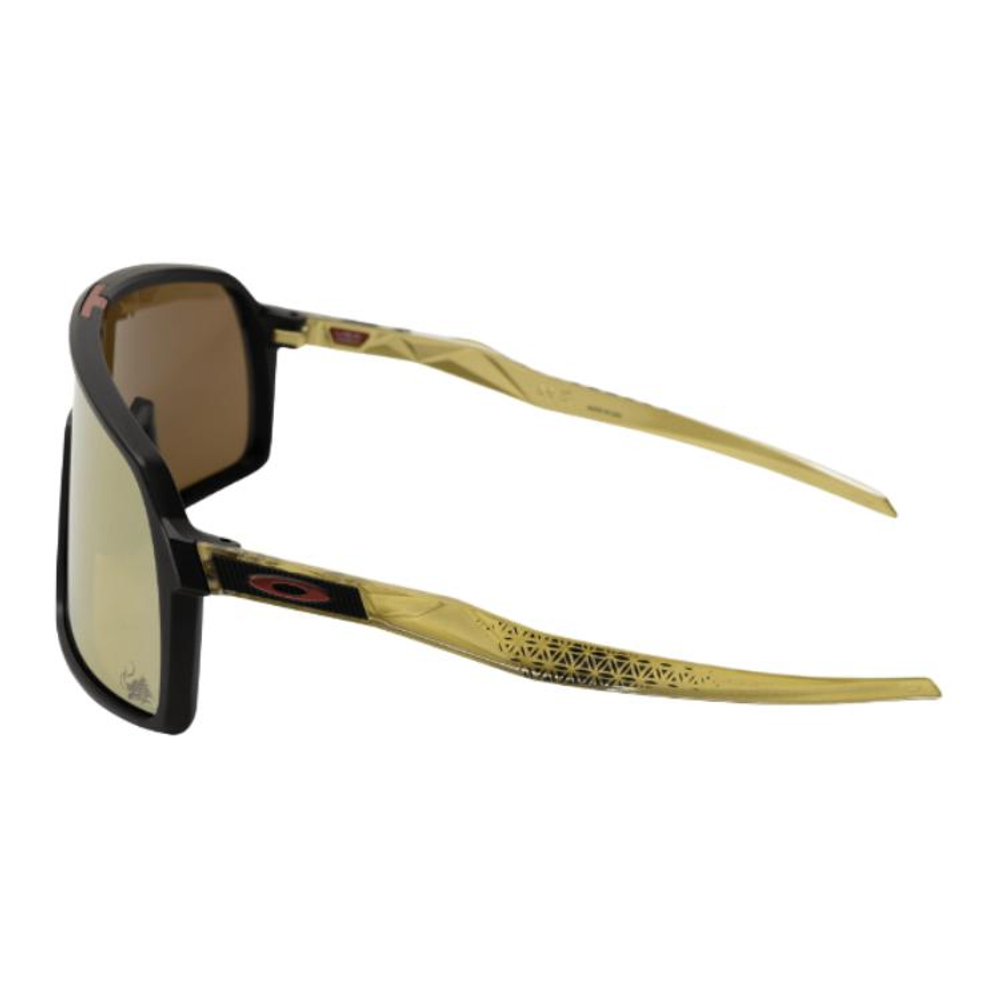 Oakley Plastic Irregular Shape Sunglasses