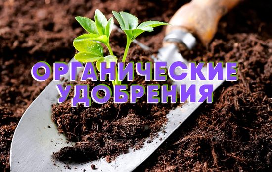 Органические удобрения