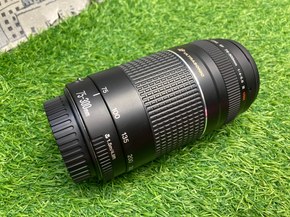 Canon EF 75-300mm 4-5.6 III USM
