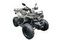 Квадроцикл MOTAX ATV Grizlik T200 Lux