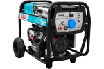 Бензиновый генератор сварочный Alteco Professional AGW-200A