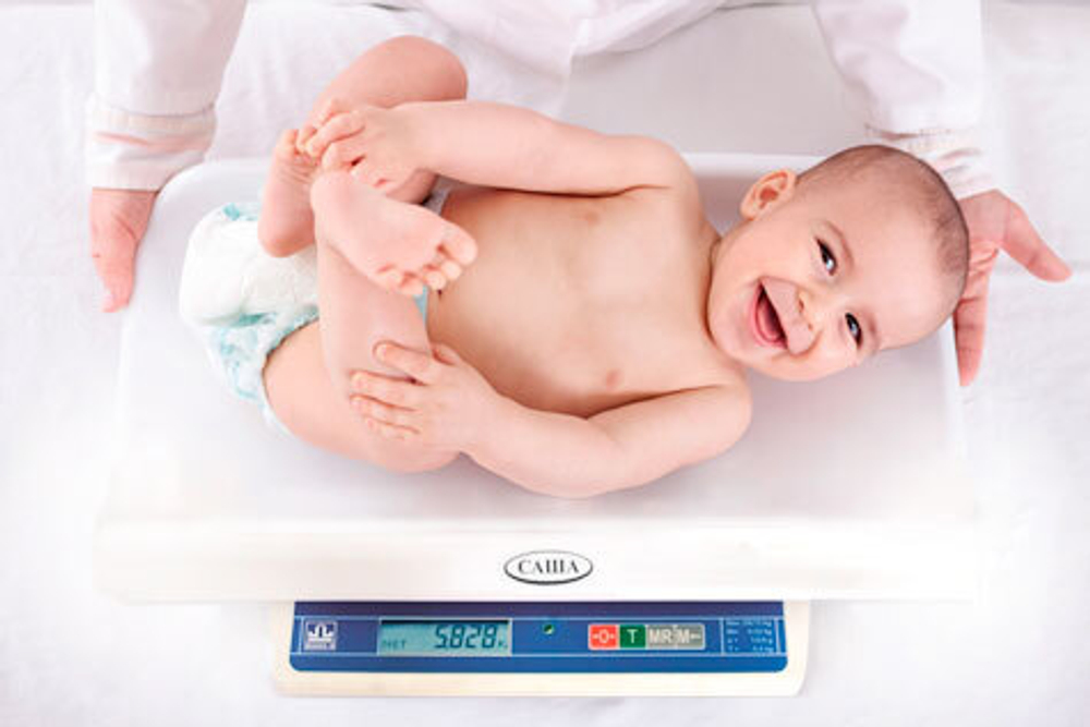 Весы Саша + кокон Farla Baby Shell