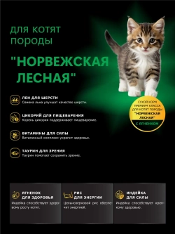 Корм для котят породы Норвежская лесная, ягненок 2 кг