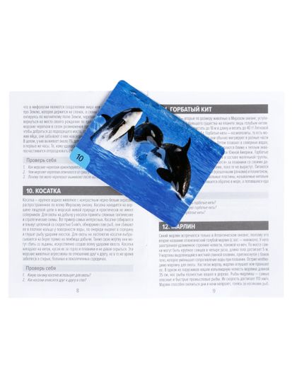 Игра настольная МЕМО "Водный мир" (32 карточки)