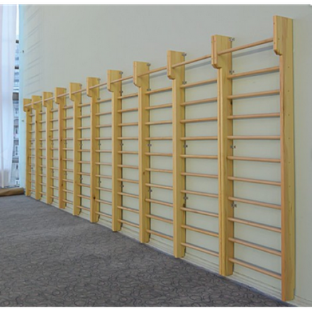 Стенка гимнастическая с выносом 2800х800