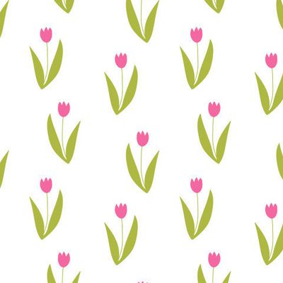 Милые розовые тюльпаны на белом фоне