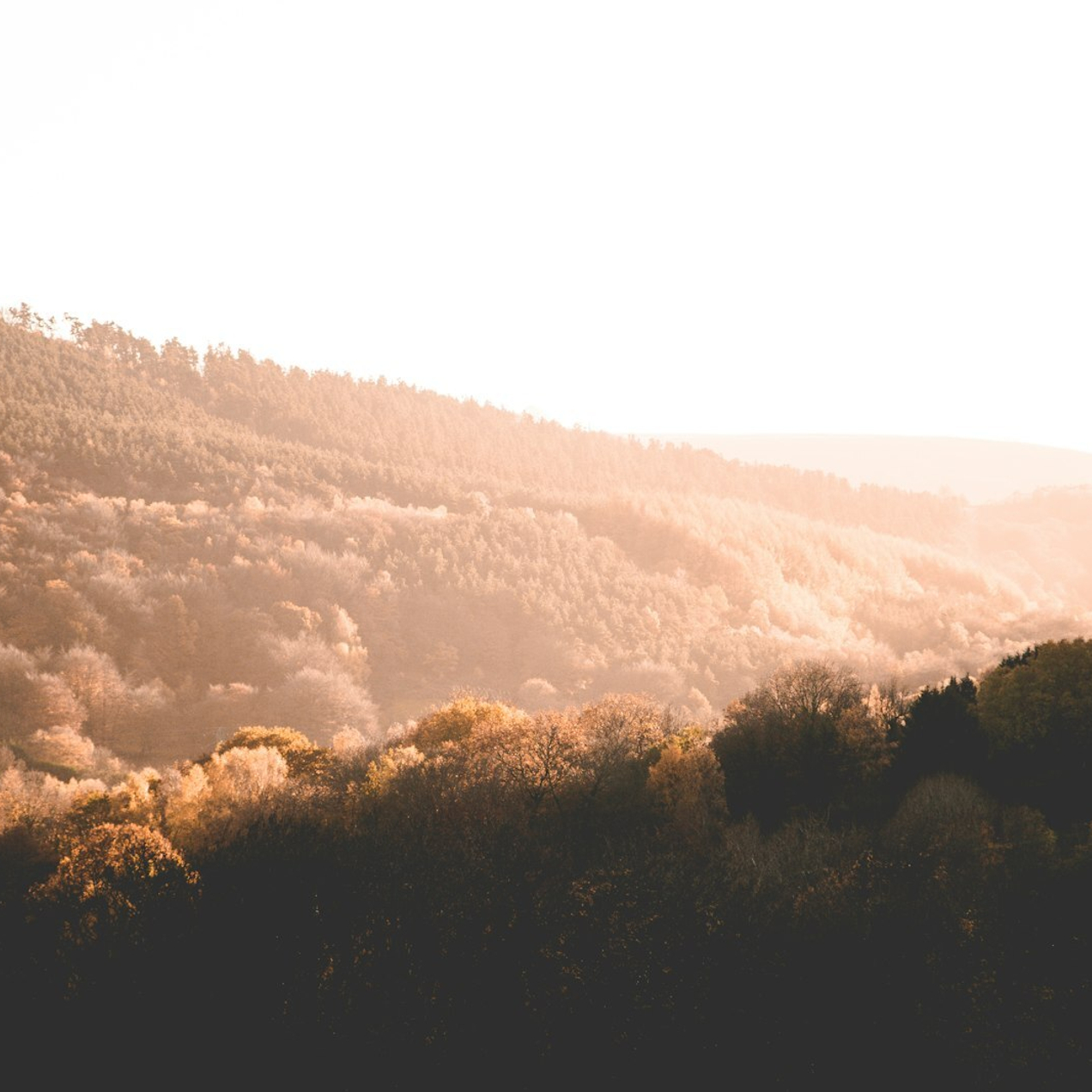 Качественный вермикулит