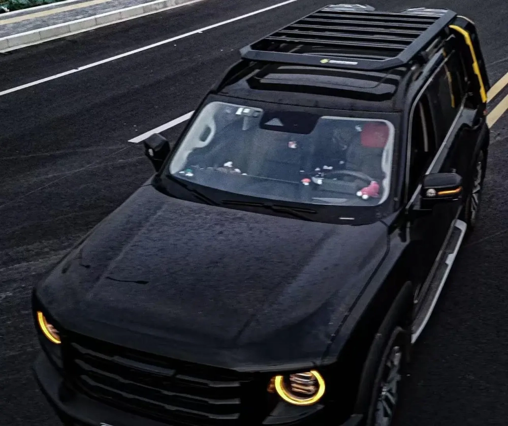 Платформа на крышу с боковой лестницей Combat Rider для Haval Dargo Хавал Хавейл Дарго