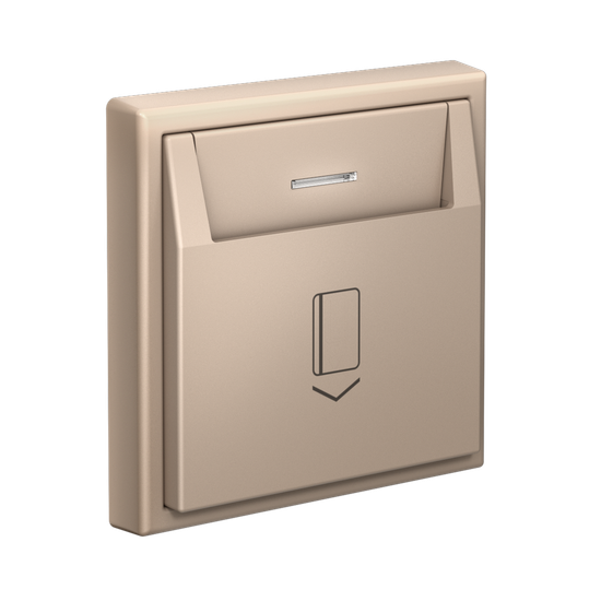 Выключатель карточный ArtGallery 10А без задержки времени быстрозажим. клем. песочн. SE GAL001214S