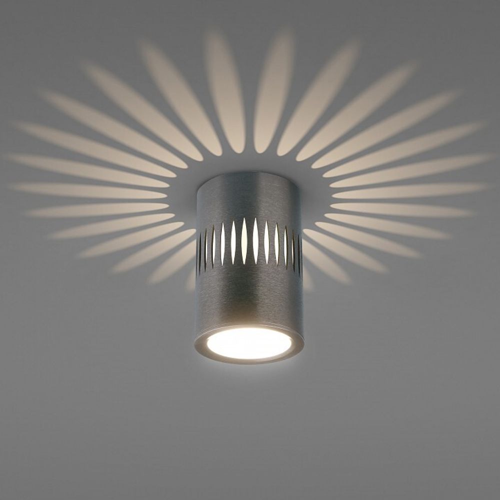 Накладной светильник Elektrostandard DLS025 & DLS026 a053601